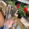 Kệ Mica Đựng Tờ Rơi Treo Tường Trong Suốt Khổ A3‑A6 - Giá 32.000 VND, Phù Hợp Cá Nhân và Doanh Nghiệp