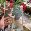 Kệ Mica Đựng Tờ Rơi Treo Tường Trong Suốt Khổ A3‑A6 - Giá 32.000 VND, Phù Hợp Cá Nhân và Doanh Nghiệp 2