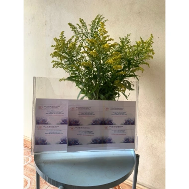 Kệ Mica Đựng Tờ Rơi Treo Tường Trong Suốt Khổ A3‑A6 - Giá 32.000 VND, Phù Hợp Cá Nhân và Doanh Nghiệp