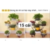 Kệ sắt để chậu hoa cây cảnh 4 tầng 6 chậu - Giá ưu đãi 279.999 VND