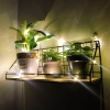 Kệ Sắt Treo Tường Đáy Gỗ - Decor Phòng, Giá Để Đồ 80k, Tiện Lợi, Sang Trọng 9