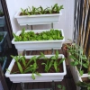 Kệ trồng rau sạch bậc thang 3 tầng - Dùng cho chậu đại, thùng xốp, giá chỉ 320k