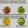 Kem Bôi Đau Gân Đau Khớp Thảo Dược Tự Nhiên - Giá Sốc 127k Giảm còn 103k 6