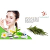 Kem chống nắng Repida SPF50++ nhập khẩu Hàn Quốc, tăng tông, bảo vệ da giá 450.000₫ 6