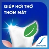 Kem đánh răng SENSODYNE Fresh Mint 160g - Giảm ê buốt, hương bạc hà thơm mát, 94.050₫ 7