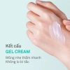 Kem Dưỡng Ẩm Candid B5 Cica Repair & Soothing Cream 50ml – Phục hồi, dưỡng ẩm sâu, giá 739.500₫ 4