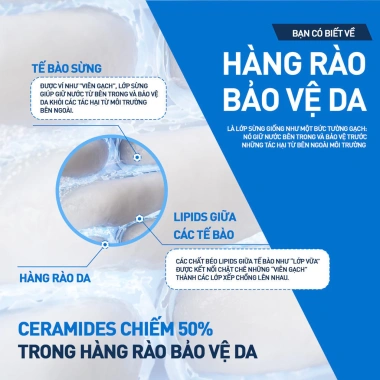 Kem dưỡng ẩm CeraVe Moisturising Cream 340g: Dưỡng 48h, phục hồi sâu, bảo vệ da khô, chỉ 450.000 3