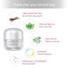 Kem dưỡng ẩm & phục hồi da Program Skin Repair Cream 45g - Giá ưu đãi 519k, dưỡng ẩm sâu, tái tạo 5