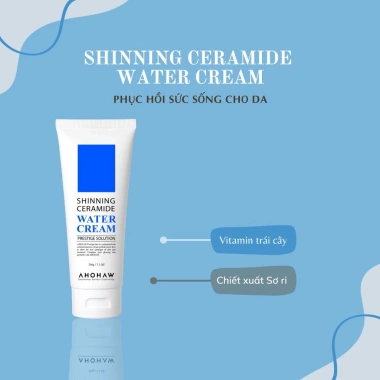 Kem Dưỡng Da Cấp Nước Căng Bóng Sáng Mịn Shinning Ahohaw Hàn Quốc 80g - Giá 720k