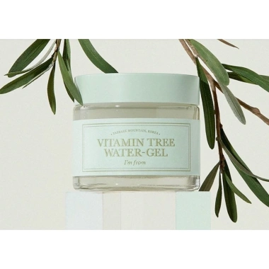 Kem dưỡng da Im From Vitamin Tree Water Gel 75g không silicone, cấp ẩm sâu, phục hồi da - 104.000 VND
