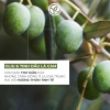 Kem dưỡng da tay Yves Rocher Olive & Petitgrain 30ml - Dưỡng ẩm, hương oliu, 171.000₫ 4