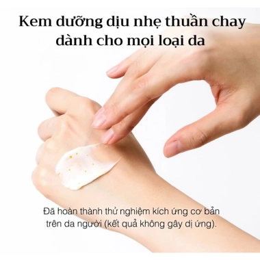 Kem Dưỡng d'Alba Truffle Vita 55g - Sáng Da, Cấp Ẩm Sâu, Hasahi Chính Hãng 5