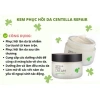 Kem Dưỡng Phục Hồi Da Rau Má Centella GoodnDoc 50ml - Giảm Giá Sốc 539.000đ 5