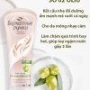 Kem dưỡng tay Silky Hands 80ml - Nuôi dưỡng, khắc phục da khô thô ráp, 51.500₫
