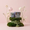Kem Dưỡng Trắng Da Beauty Secrets - Dưỡng ẩm sâu, Da sáng mịn, Giá ưu đãi 850.000₫ 5
