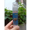 Kem Emu chải thông kinh lạc thải độc não bộ - Phiên bản nóng 50g, chỉ 290.000₫ 4
