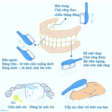 Kem Fresh Breath làm trắng, loại bỏ răng ố vàng, cao răng, trẻ em - 35.000₫ 7