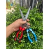 Kềm gắp cá Ashino 29,5cm - 2 màu xanh đỏ, bền chắc, giá chỉ 207.000đ 2