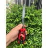 Kềm gắp cá Ashino 29,5cm - 2 màu xanh đỏ, bền chắc, giá chỉ 207.000đ 3