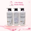 Kem Hấp Ủ Tóc Bưởi Grapefruit Macca Collagen 500ml Phục Hồi Siêu Mềm Mượt Hàng Chính Hãng Gần Date