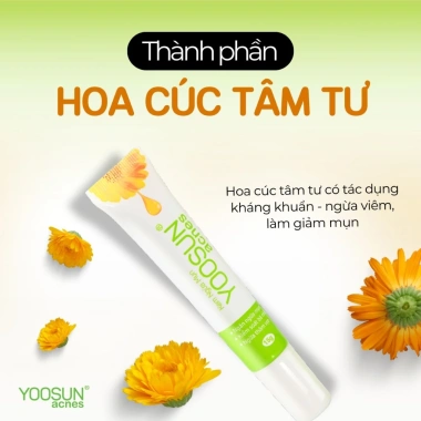 Kem ngừa mụn Yoosun Acnes 15g - Làm sạch bã nhờn, ngừa mụn, giá chỉ 54.000đ 5 Kem ngừa mụn Yoosun Acnes 15g - Làm sạch bã nhờn, ngừa mụn, giá chỉ 54.000đ 5