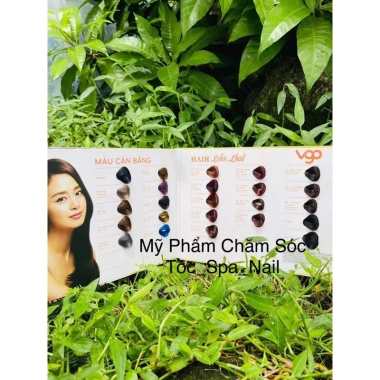 Kem nhuộm tóc VGO tự động cân bằng màu tóc bạc hương thơm 100ml giá 30.000đ không kèm oxy 2