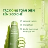 [Kèm quà] Xịt & Bột Khử Mùi Toàn Thân Wings Up 100ml - Ngăn Tiết Mồ Hôi, Hạn Chế Mùi Cơ Thể, Hôi Giày 200.000 VND 5