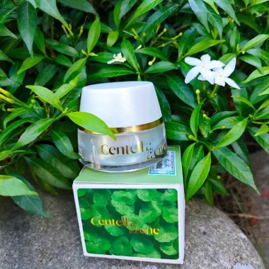 Kem Rau Má Thanh Tô - Dưỡng ẩm, Kiểm soát mụn, Da sáng mịn, Giảm sẹo nhanh