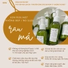 Kem Rửa Mặt Rau Má pH 5.5 Không Bọt Không SLES - Không Khô Căng The Owu