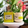 Kem ủ As a habit bio phục hồi tóc khô xơ hư tổn Vyvyhaircare 350gr - giảm giá 400k 3