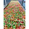 Kẹo bắp dẻo ngũ sắc 1kg - Bánh kẹo Tết thơm ngon, đồ ăn vặt giá chỉ 89.000₫ 2