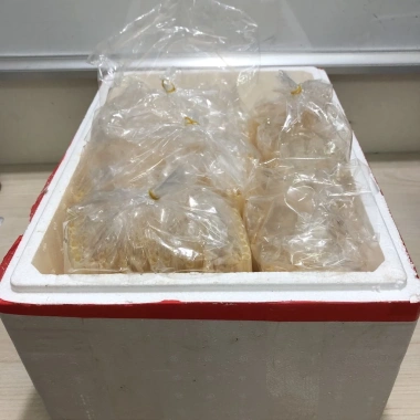 Kẹo Bò Bía sỉ lẻ giá ưu đãi 42.900 VND – thanh đường, thanh kẹo toàn quốc, hỗ trợ đóng thùng xốp từ 3 bịch 4