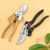 Kéo Cắt Cành Cây Cảnh Cộng Lực Yokohama SK5 - Tayo Nhật Bản Chính Hãng, Giá Ưu Đãi 51.000₫ 3