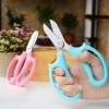 Kéo cắt cành tỉa hoa 18cm cao cấp màu hiện đại, dễ sử dụng - Giá 50.000 VNĐ 3