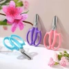 Kéo cắt cành tỉa hoa 18cm cao cấp màu hiện đại, dễ sử dụng - Giá 50.000 VNĐ 8