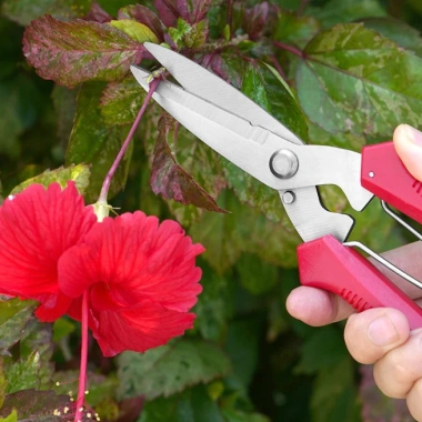 Kéo cắt tỉa đa năng SAGAWA P910 thép hợp kim Nhật Bản - Siêu sắc bén, cho Bonsai, 49.000đ 2