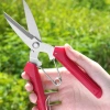 Kéo cắt tỉa đa năng SAGAWA P910 thép hợp kim Nhật Bản - Siêu sắc bén, cho Bonsai, 49.000đ 7