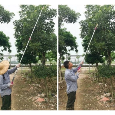 Kéo cắt tỉa Kapusi 3-5m MONQIQI 3 phần - Siêu bền, giá ưu đãi 5 Kéo cắt tỉa Kapusi 3-5m MONQIQI 3 phần - Siêu bền, giá ưu đãi 5