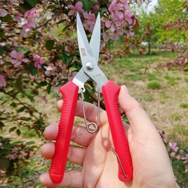 Kéo Đa Năng SAGAWA Thép Trắng Không Rỉ 19cm - Cắt Cành Dây Điện Kim Loại Giá 79.000₫