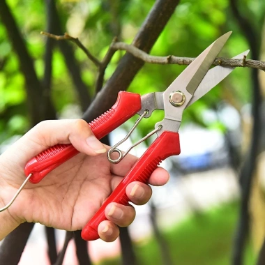 Kéo Đa Năng SAGAWA Thép Trắng Không Rỉ 19cm - Cắt Cành Dây Điện Kim Loại Giá 79.000₫