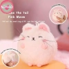 Kéo Dây Lắc Đuôi Búp Bê Mèo Hồng - Đồ Chơi Sang Trọng, Giá Ưu Đãi 113,520₫ 3