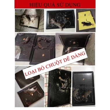 Keo Dính Chuột Siêu Dính - Bẫy Chuột, Diệt Côn Trùng, Giá Khuyến Mãi 24.900₫