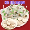 Kẹo Dừa Giòn Sakura Nhật Bản - Hình Trái Dừa Thơm Ngon Vị Sữa, Giá chỉ 50.998₫ 4