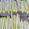 Kẹo dừa non lá dứa thơm ngon 250g - Bánh kẹo Tết, giảm giá 60k chỉ 60.000 VND 5