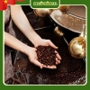 Kẹo Dứa Sap Cà Phê Muối VicoSap 350g - Hàng Xuất Khẩu, Bánh Kẹo Tết, Giá 250.880₫ 4