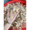 Kẹo dừa sáp không đường 500g - Dinh dưỡng tự nhiên, kiêng đường, giảm 20% còn 95.000₫ 2