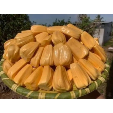 Kẹo khóm mít dừa non 100g - Ngon giòn, thơm dừa, giá chỉ 19.000 VND, giá gốc 23.560 VND - Giảm giá hấp dẫn