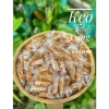 Kẹo Mè Xửng Truyền Thống Bến Tre 500g - Mềm Dẻo, Ít Ngọt, Giá 50.000₫ 2