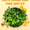 Kẹo Mút Keo Ong Lá Happy Vitamin - Quà Tặng 1 Hộp Giá Chỉ 99.000, Tiết Kiệm Ngay 6