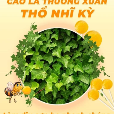 Kẹo Mút Keo Ong Lá Happy Vitamin - Quà Tặng 1 Hộp Giá Chỉ 99.000, Tiết Kiệm Ngay 6